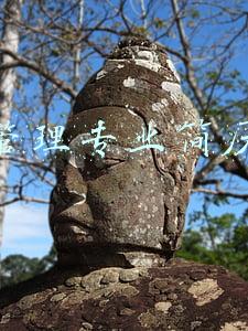 财务管理专业简历范文(怎么写会计简历，怎么找工作？)