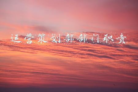 运营策划部部门职责