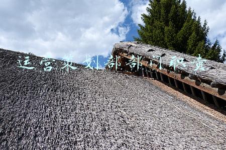 运营策划部部门职责