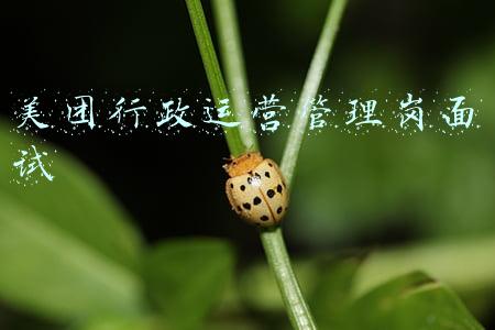 美团行政运营管理岗面试