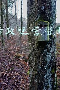 美团行政运营管理岗面试