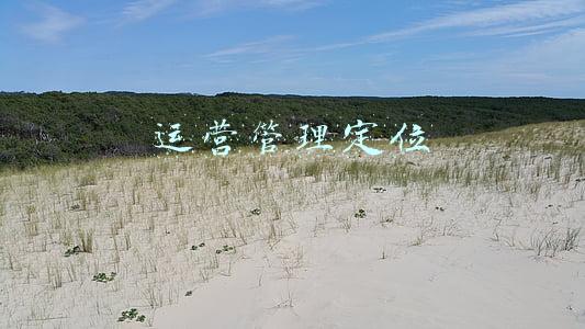 运营管理定位