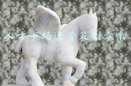 人才市场运营策划方案