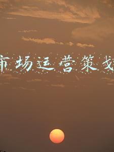 人才市场运营策划方案