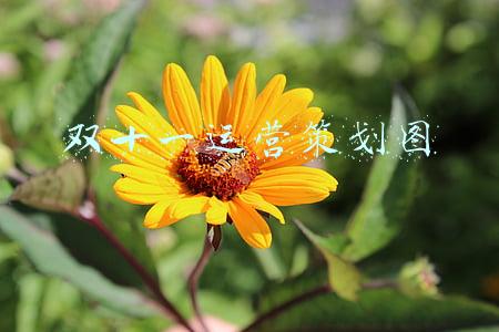 双十一运营策划图