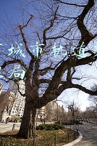 福州市城市轨道交通运营管理局