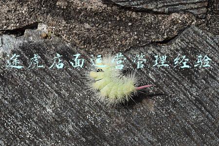 途虎店面运营管理经验