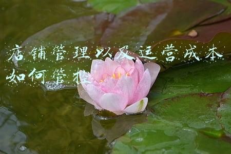 店铺管理以及运营成本如何管控