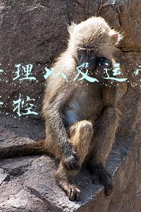 店铺管理以及运营成本如何管控