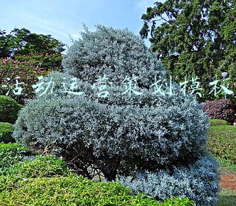 活动运营策划书模板(怎样完整执行一个活动（附活动执行SOP模板）)