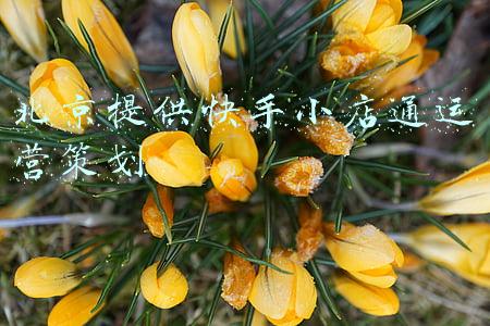 河北快手广告推广小店通(快手小店通怎么投放？快手小店通客户类型？)