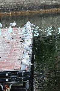 工行网点运营主管工作总结(工行查处近年该行涉案额最大两起腐败案，信贷腐败缘何多发？)