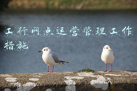 银行网点运营管理新思路对策及建议(这是一篇给银行运营的忠实建议)