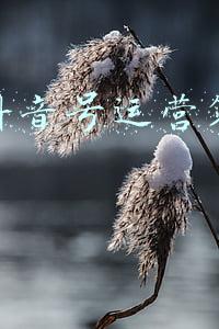 成都抖音策划运营公司(成都墨动传媒：抖音运营必须了解的干货（2）)