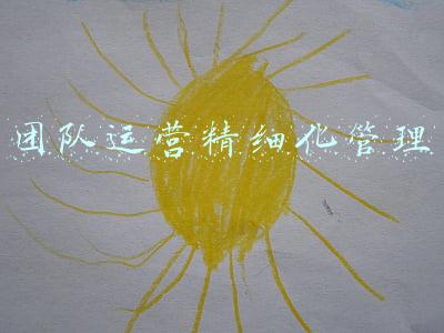 团队精细化管理(项目总工不懂精细化管理？项目管理标准化指导手册，提炼成功经验)