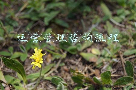 运营管理咨询流程