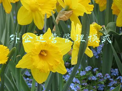 外企薪酬管理制度(78页完整版，顶级外资企业薪酬体系及绩效管理方案，全面详细)