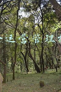 外企的工作模式(为何外企会有双休、8小时制？国内企业确实很少，为什么？)