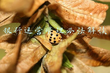 银行运营管理办法解读