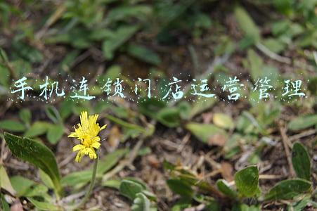 手机店如何经营与管理(手机店装修需要注意哪些关键要点，方面，细节，事项？)