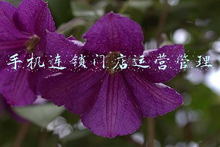 手机连锁门店运营管理