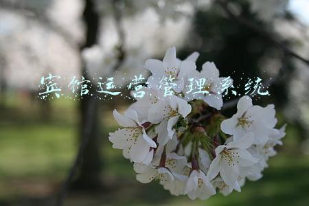 旅馆业管理系统(今年已发现涉企乱收费125.2亿元，央媒批：部分行业协会商会把政府委托事项变为敛财工具中饱私囊)