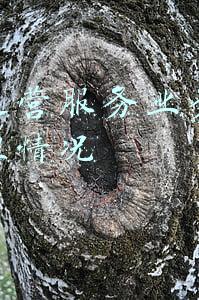 污水运营服务业务情况和管理情况