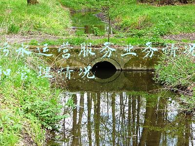 污水处理运维项目管理简介(连线全国人大代表｜潘丽梅：建立稳定的农村污水处理设施运维管理体系)