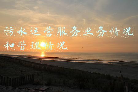 污水运营服务业务情况和管理情况