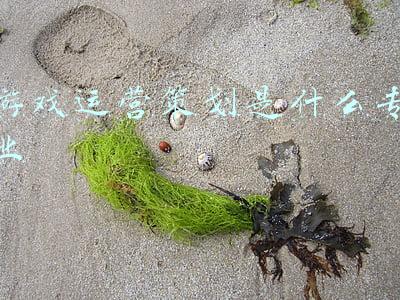 游戏运营策划是什么专业
