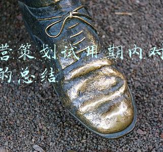 运营助理试用期工作总结100字(苏宁易购2021年业绩巨额预亏，利空出尽只为“重新出发”？)