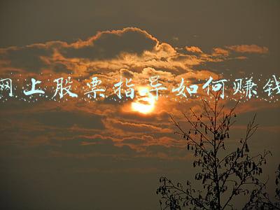 网上股票指导如何赚钱