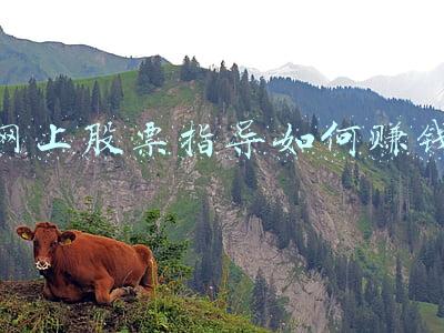 网上看股票(重磅！股票账户可网上销户了，不得收取销户费，2天内办理完毕……券商该如何应对客户流失？)