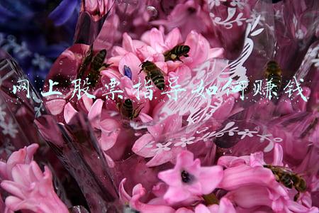 网上股票指导如何赚钱