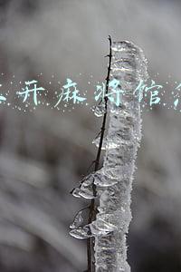 怎么经营麻将馆(如何让茶楼的生意好起来？)
