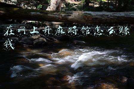 网上麻将平台(刑拘：贵州一女子网上开麻将馆，每月轻松进账12万余元)