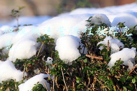 短视频制作课程(最全的微课制作步骤与软件介绍)