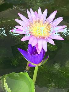 会计教学课程视频(全套会计账簿-电子版课程分享，想学的会计小白可别错过了)