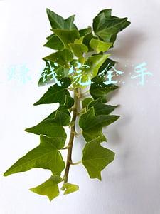 网上赚钱完全手册(网络小说变现有哪些招数？分享7个简单又赚钱的方法，版权也是钱)