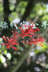 ic网数据手册官网(如何区分模拟地和数字地？教你在PCB布局正确设置地线)