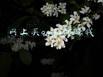 怎么赚QQ钱(免费的才是最贵的，微信和QQ是怎么赚钱的？)