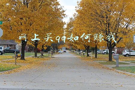 买赞网qq(起底直播数据刷量黑产：6毛钱能买互动，40元可加1万赞)