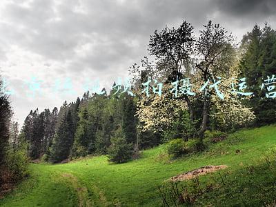 北京短视频拍摄代运营