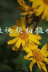 北京短视频拍摄代运营