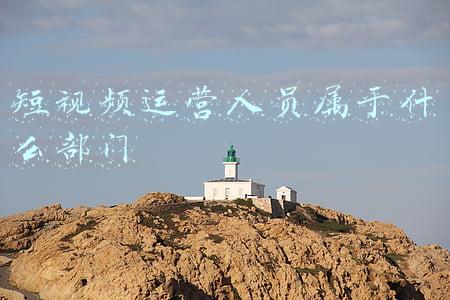 短视频运营人员属于什么部门