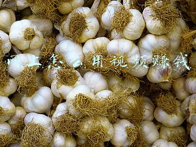 网上视频剪辑赚钱(影视短视频剪辑搬运项目，轻松月入过万)