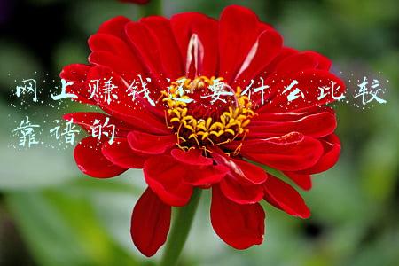 网上赚钱哪个靠谱(推荐靠谱的赚钱app（上）)