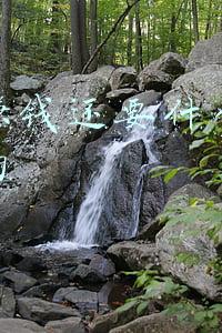 教你九种网上最靠谱的赚钱方法(赚钱很累—是你方法不对，告诉你五个靠谱的赚钱方法)