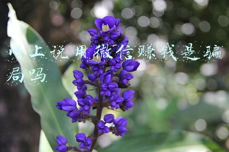互联网品牌注册骗局(线上仍有身份证号生成网站！当心各种“防沉迷破解教程”诈骗)