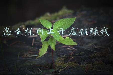 如何在网上开店铺(如何开网店？怎样在网上开店？)